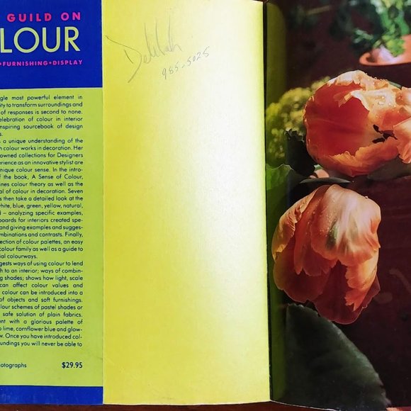 The Artists's Way and Tricia Guild on Colour - Picture 2 of 10